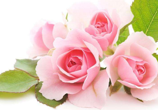 女性脱发的病因有哪些