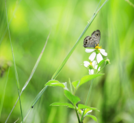 足癣应怎样避免和养护?