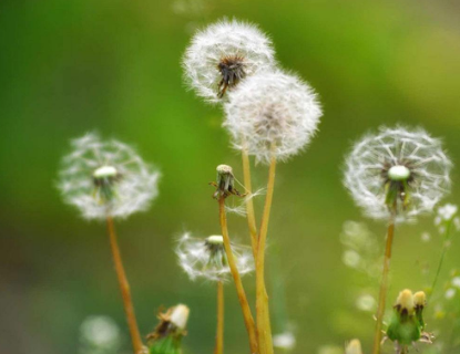 有毛囊炎应该做什么护理