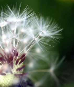 怎么才能诊断皮肤过敏