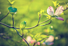 怎样才能科学有效治疗皮肤瘙痒呢