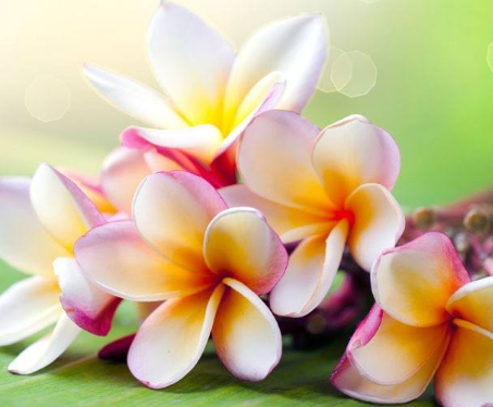 引起湿疹的原因是什么